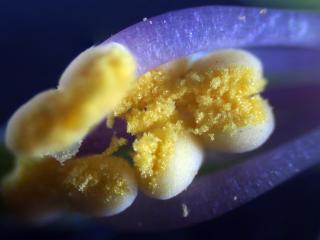 Img.VTax2624.Ex4.Img7