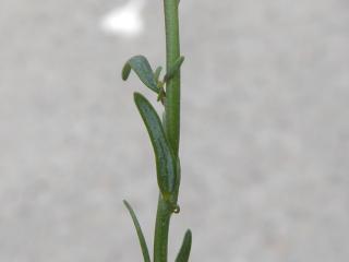 Img.VTax2625.Ex1.Img1