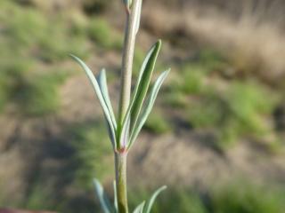 Img.VTax2626.Ex1.Img5