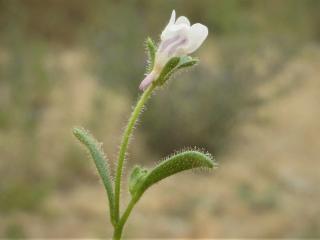 Img.VTax2636.Ex2.Img3