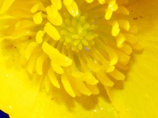 Img.VTax264.Ex1.Img6