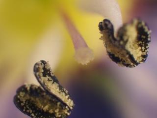 Img.VTax2673.Ex2.Img1