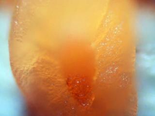 Img.VTax2673.Ex2.Img10
