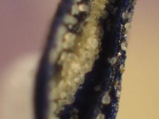 Img.VTax2673.Ex2.Img3