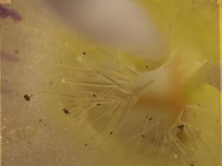 Img.VTax2673.Ex2.Img6