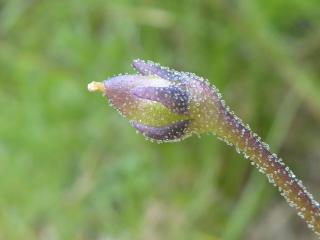 Img.VTax2761.Ex1.Img3