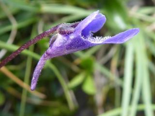 Img.VTax2761.Ex1.Img6