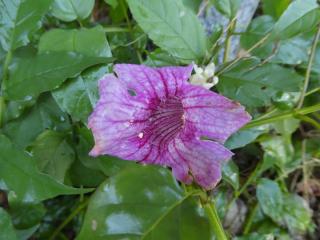 Img.VTax2772.Ex1.Img3