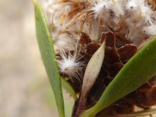 Img.VTax2775.Ex2.Img4