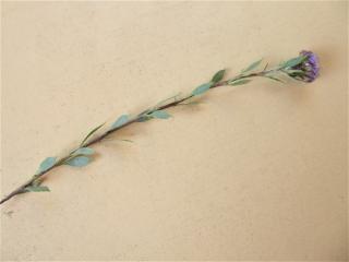 Img.VTax2775.Ex2.Img7