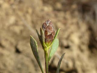 Img.VTax2775.Ex3.Img4
