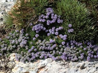 Img.VTax2778.Ex3.Img1