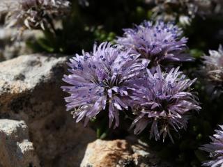 Img.VTax2778.Ex3.Img3