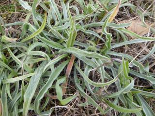Img.VTax2796.Ex1.Img3