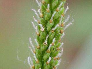 Img.VTax2805.Ex1.Img3