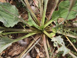 Img.VTax2805.Ex1.Img5