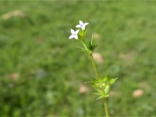 Img.VTax2808.Ex2.Img1