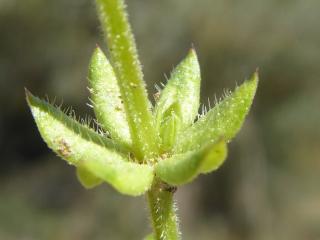 Img.VTax2808.Ex2.Img3