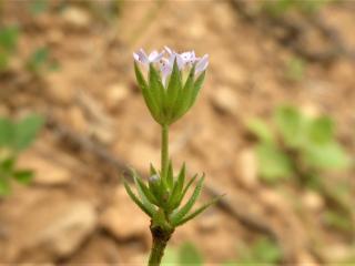 Img.VTax2808.Ex2.Img5