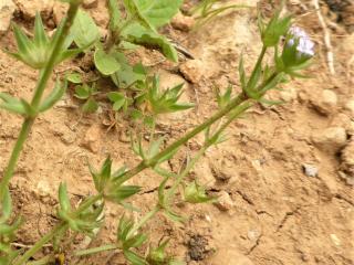Img.VTax2808.Ex2.Img6