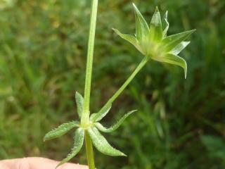 Img.VTax2808.Ex2.Img7
