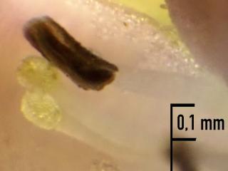 Img.VTax2808.Ex3.Img1