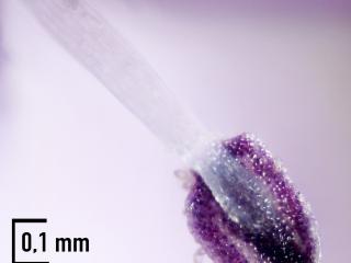 Img.VTax2808.Ex3.Img11