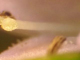 Img.VTax2808.Ex3.Img3