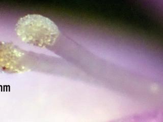 Img.VTax2808.Ex3.Img5