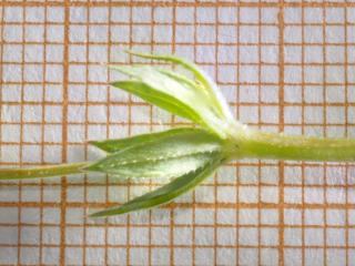 Img.VTax2808.Ex3.Img8