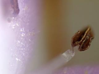 Img.VTax2808.Ex3.Img9