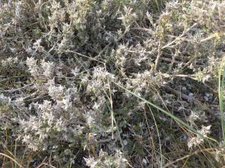 Img.VTax2809.Ex1.Img3