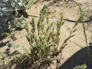Img.VTax2809.Ex1.Img6
