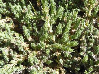 Img.VTax2809.Ex1.Img8