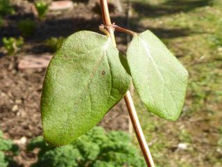 Img.VTax2872.Ex1.Img5