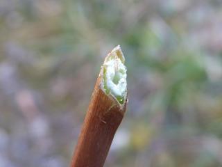 Img.VTax2872.Ex1.Img6