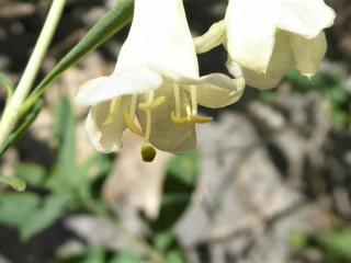 Img.VTax2874.Ex1.Img6