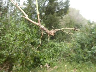 Img.VTax2876.Ex3.Img1