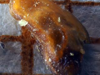 Img.VTax2876.Ex4.Img1