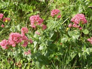 Img.VTax2902.Ex2.Img3