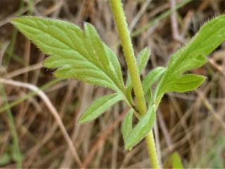 Img.VTax2921.Ex1.Img1