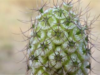 Img.VTax2921.Ex1.Img5