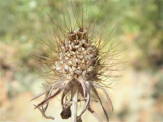 Img.VTax2921.Ex2.Img1