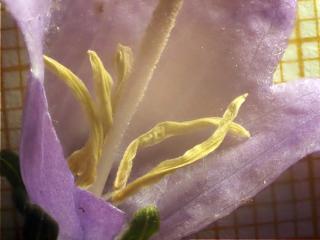 Img.VTax2942.Ex3.Img1