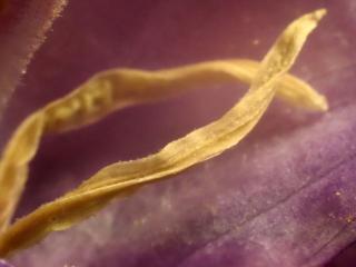 Img.VTax2942.Ex3.Img2