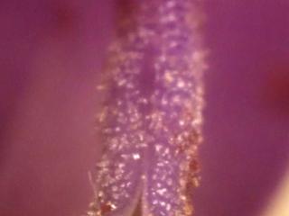 Img.VTax2942.Ex3.Img4
