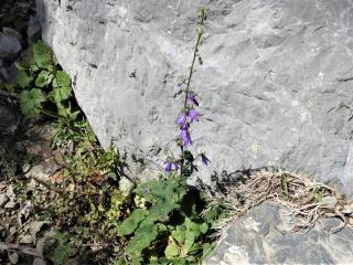 Img.VTax2943.Ex1.Img3
