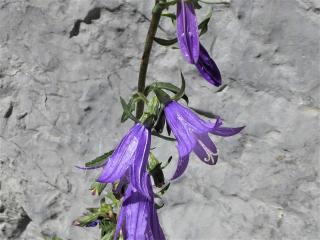 Img.VTax2943.Ex1.Img4