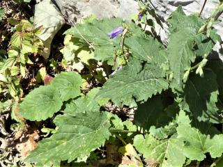 Img.VTax2943.Ex1.Img5