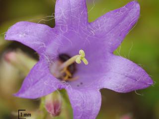 Img.VTax2944.Ex2.Img3